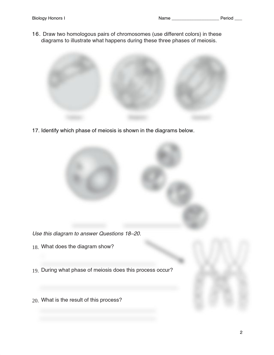 Worksheet_11.4_PDF_(1).pdf_d3k9rklow2i_page2