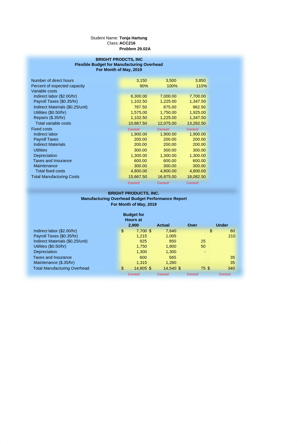 Hartung_Week 3 Homework Template-1 (version 1).xlsx_d3kcu58jr9k_page1