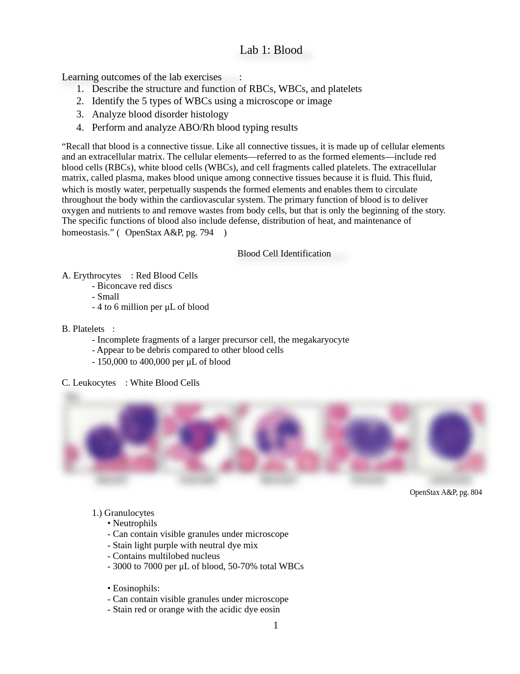 Online Lab Blood.docx_d3kh638cjmr_page1