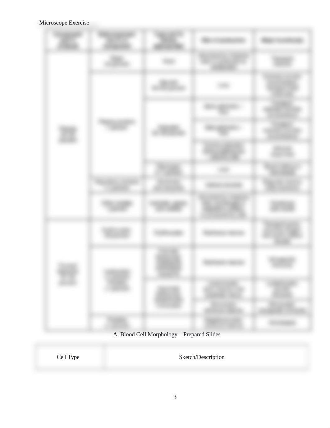 Online Lab Blood.docx_d3kh638cjmr_page3