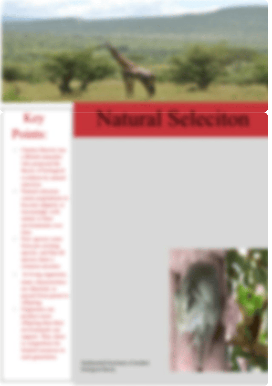 Natural selection fact sheet.docx_d3kucus0w2m_page1