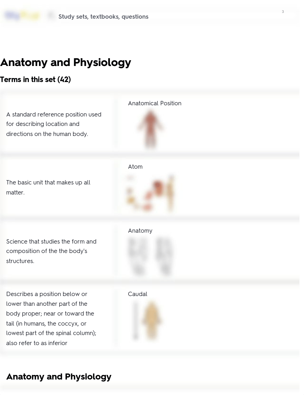 Anatomy and Physiology Flashcards.pdf_d3l0l8yhr7x_page1