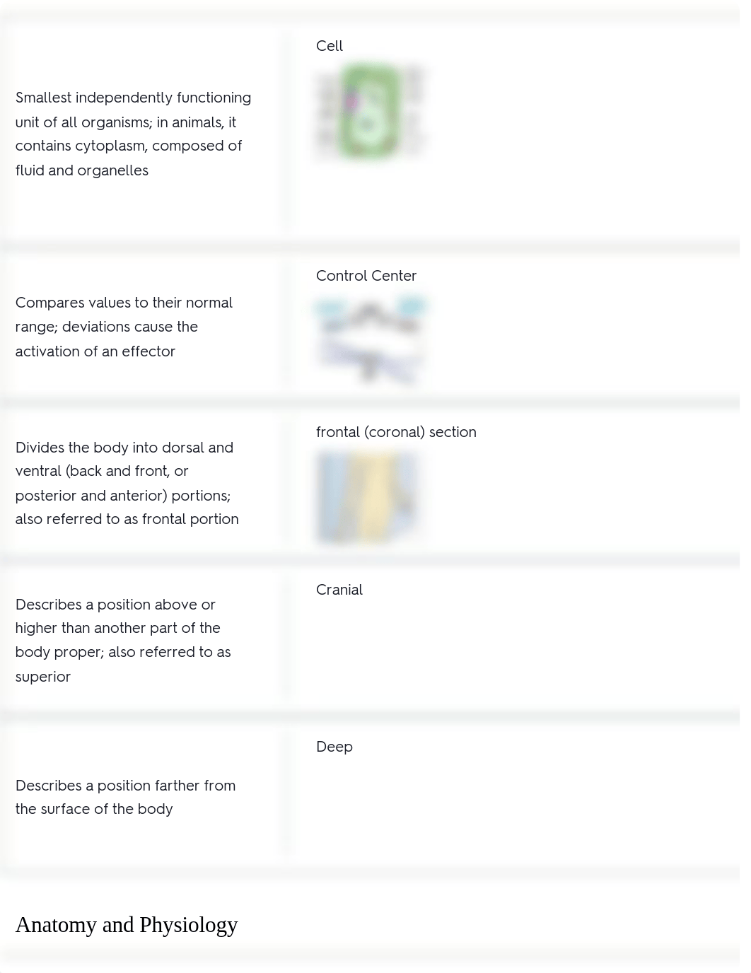 Anatomy and Physiology Flashcards.pdf_d3l0l8yhr7x_page2