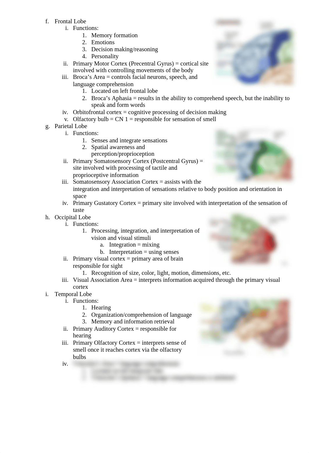 Anatomy Exam 2 Study Guide.docx_d3l5wfqfiwi_page2