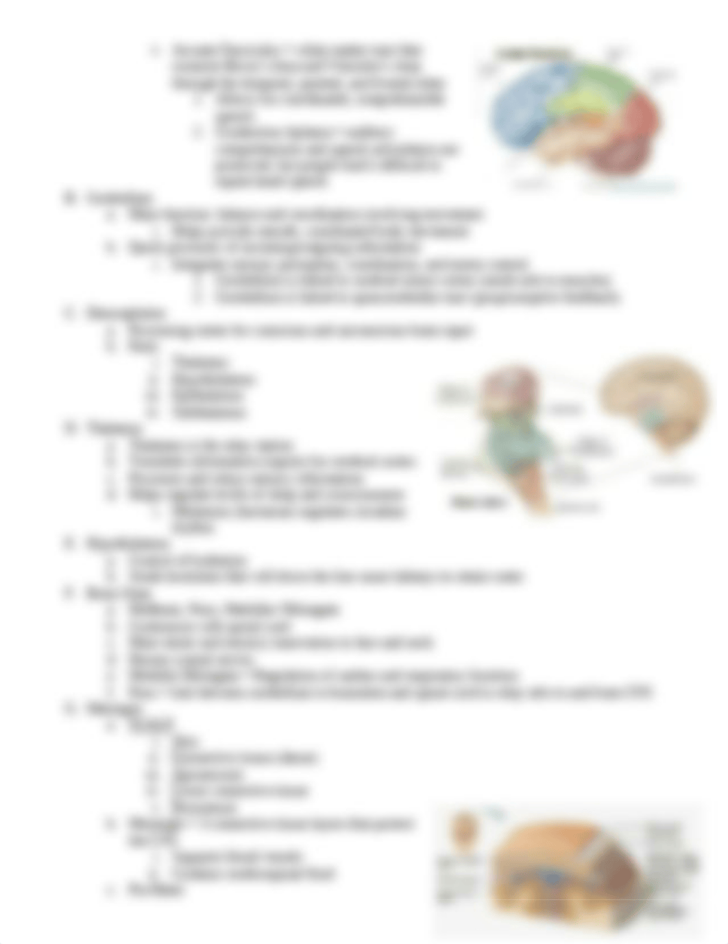 Anatomy Exam 2 Study Guide.docx_d3l5wfqfiwi_page3