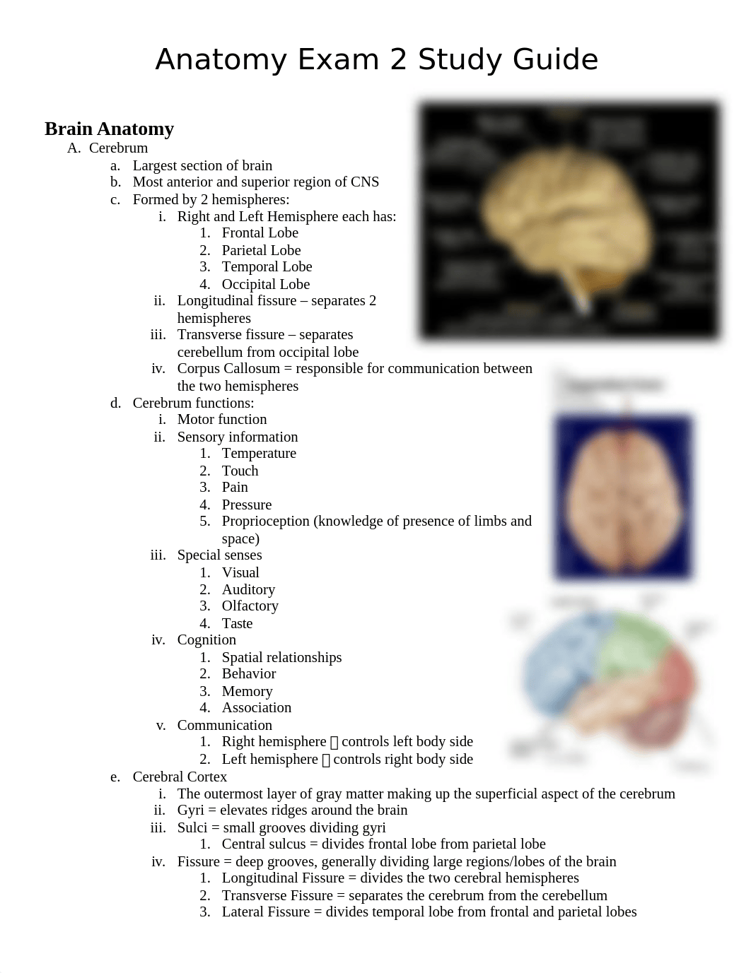 Anatomy Exam 2 Study Guide.docx_d3l5wfqfiwi_page1