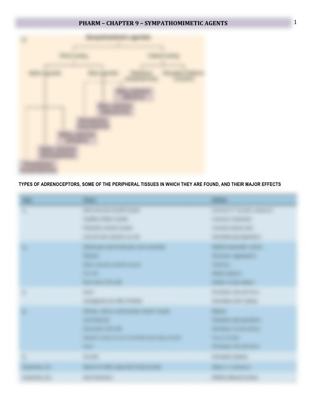 Pharm - 9 - Sympathomimetics - BL_d3l8e0xuuwu_page1