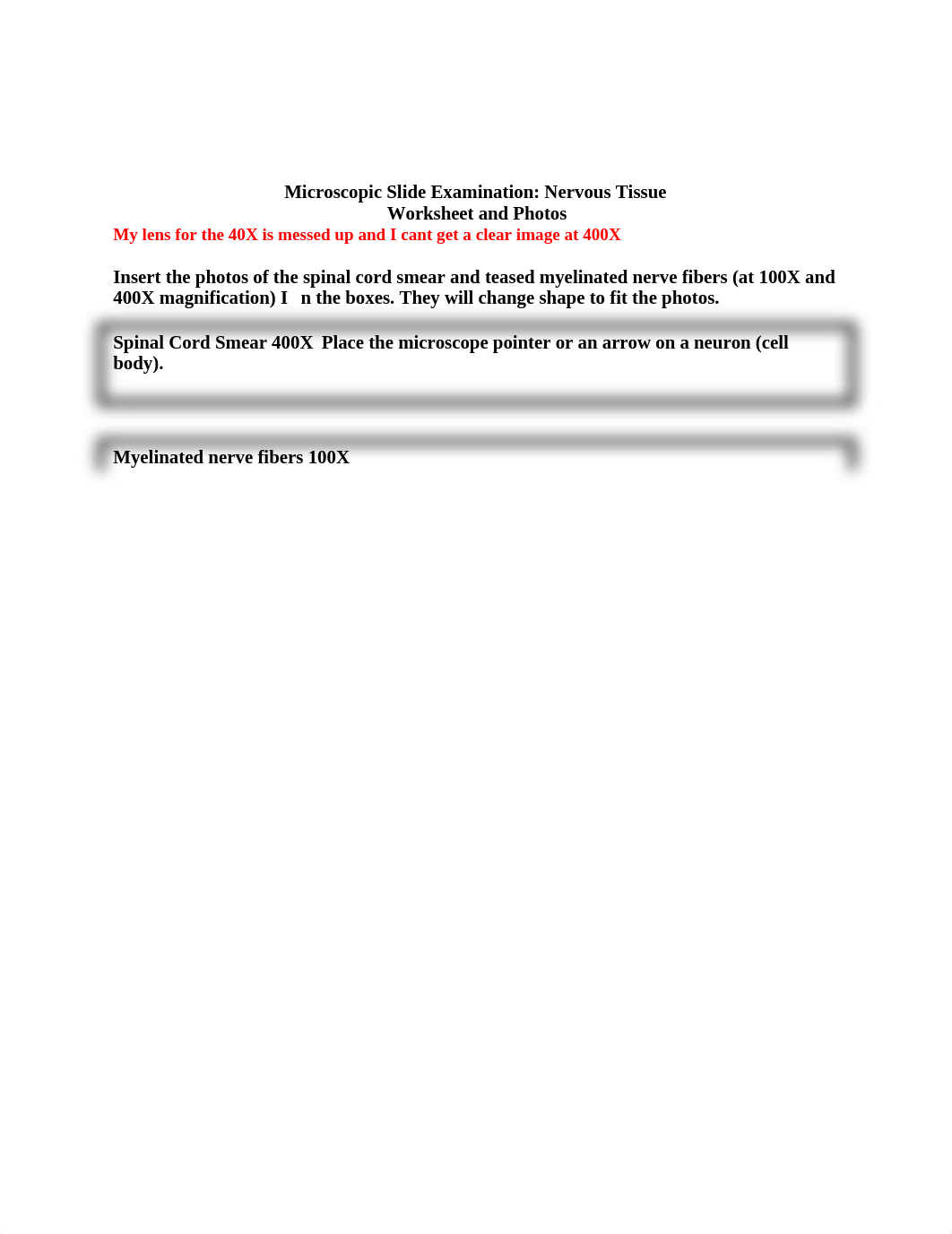 BIO 1374 Microscopic Examination Nerve Tissue_Worksheet.docx_d3lhefehas8_page1