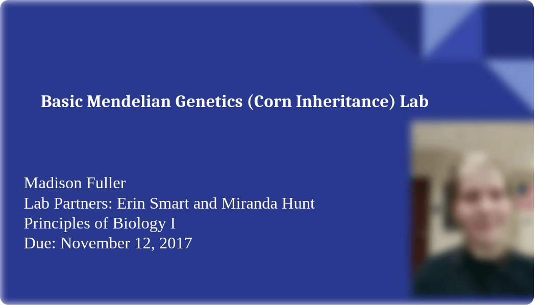 Basic Mendelian Genetics (Corn Inheritance) Lab.pptx_d3lhpm9r2dh_page1