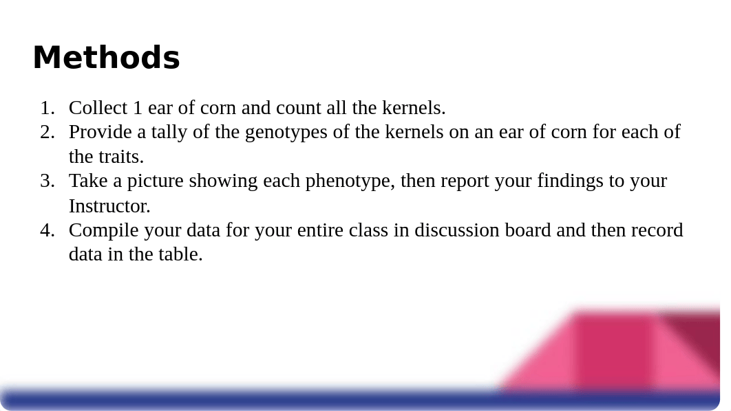 Basic Mendelian Genetics (Corn Inheritance) Lab.pptx_d3lhpm9r2dh_page5