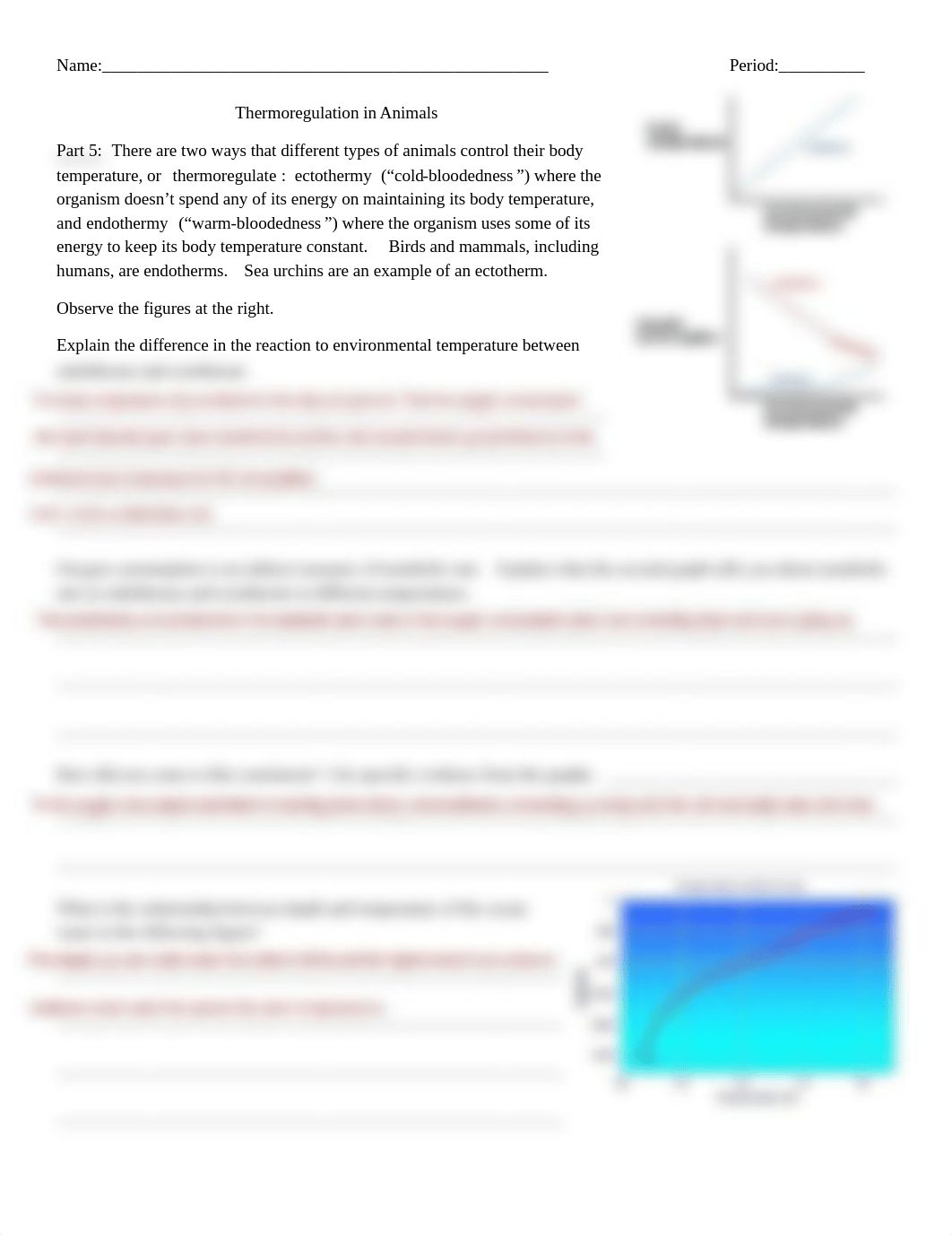 (5.F) Thermoregulation in Humans.pdf_d3lhvptah8h_page1