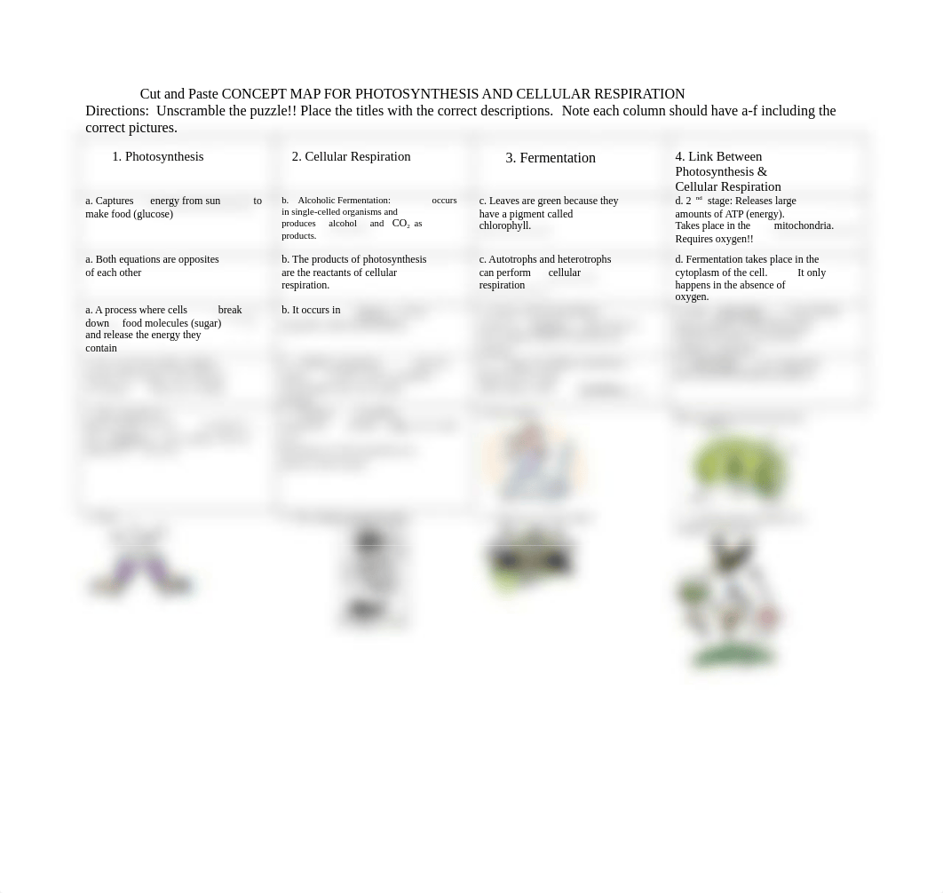 Concept-Map---Photosynthesis-and-Cell-Resp-students-copy.doc_d3lseuulpw6_page1