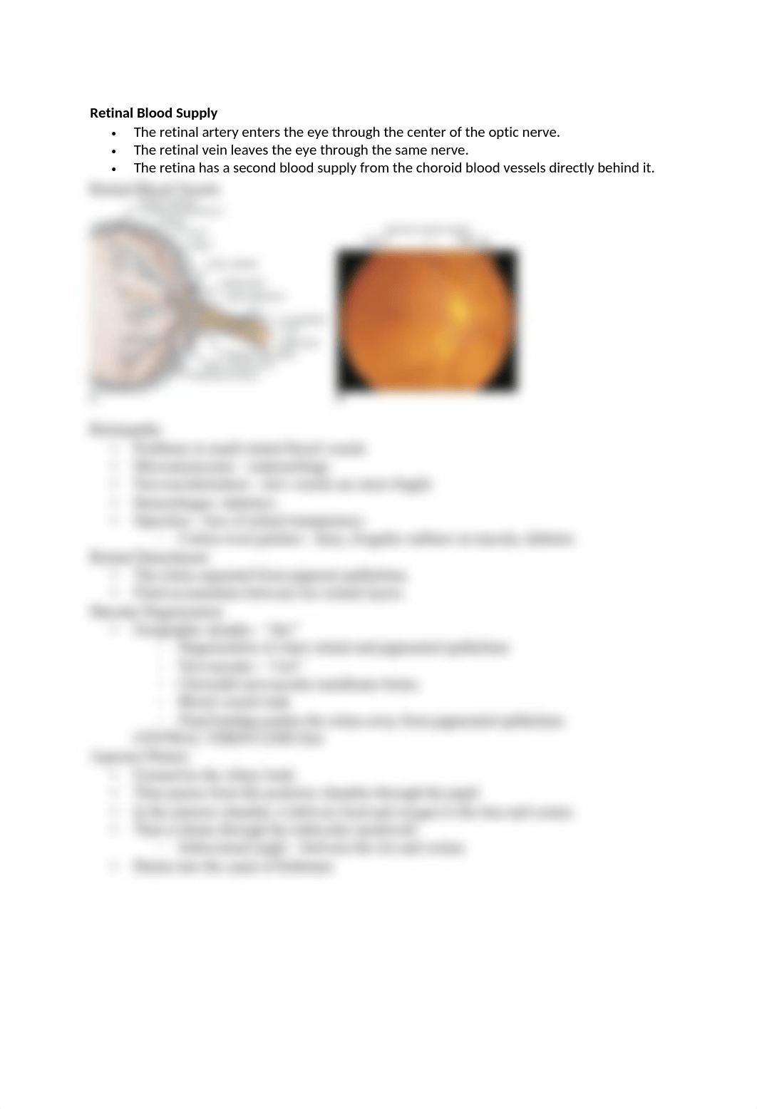 Chap 38- Disorders of Special Sensory Function- Vision, Hearing, and Vestibular Function .docx_d3lsgn5k106_page2