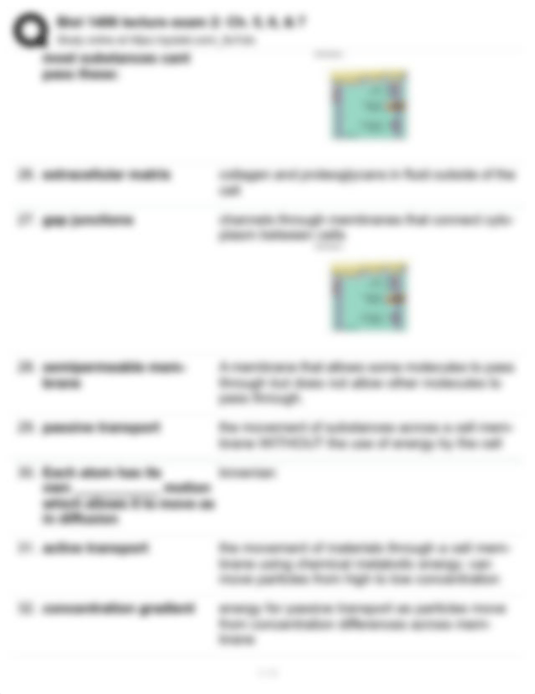 Biol 1406 lecture exam 2 -Ch. 5, 6, & .pdf_d3luli76mg8_page3