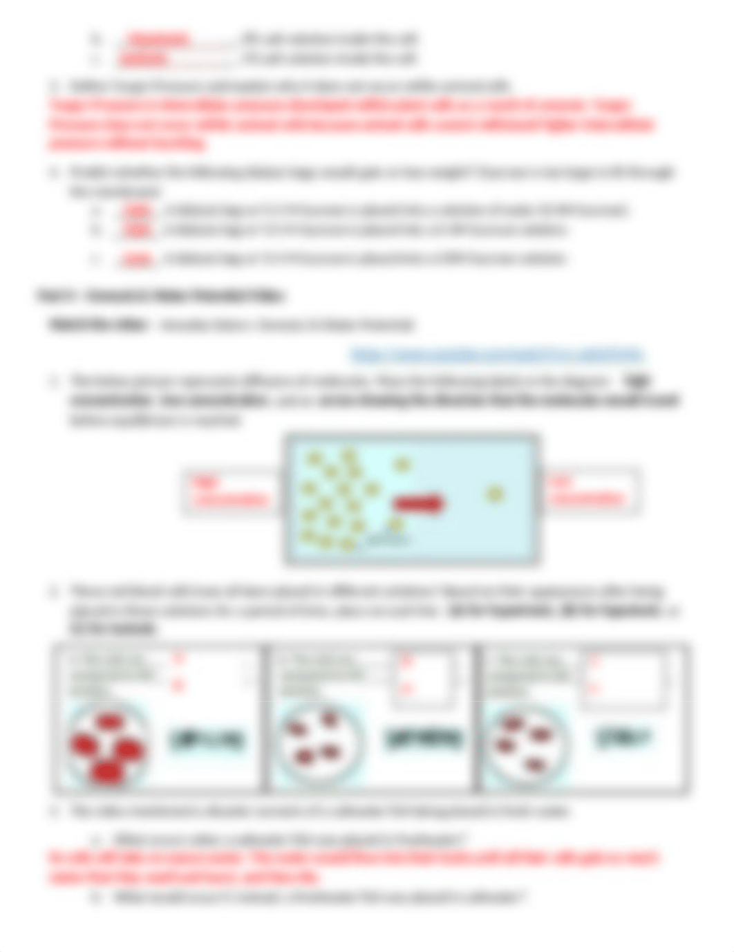 Membranes Lab Worksheet .docx_d3lzh17im18_page2