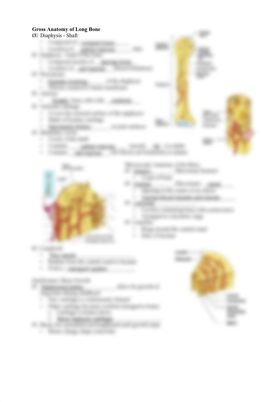 skeletal_part_1_fill_in.pdf_d3m0900cv4s_page2