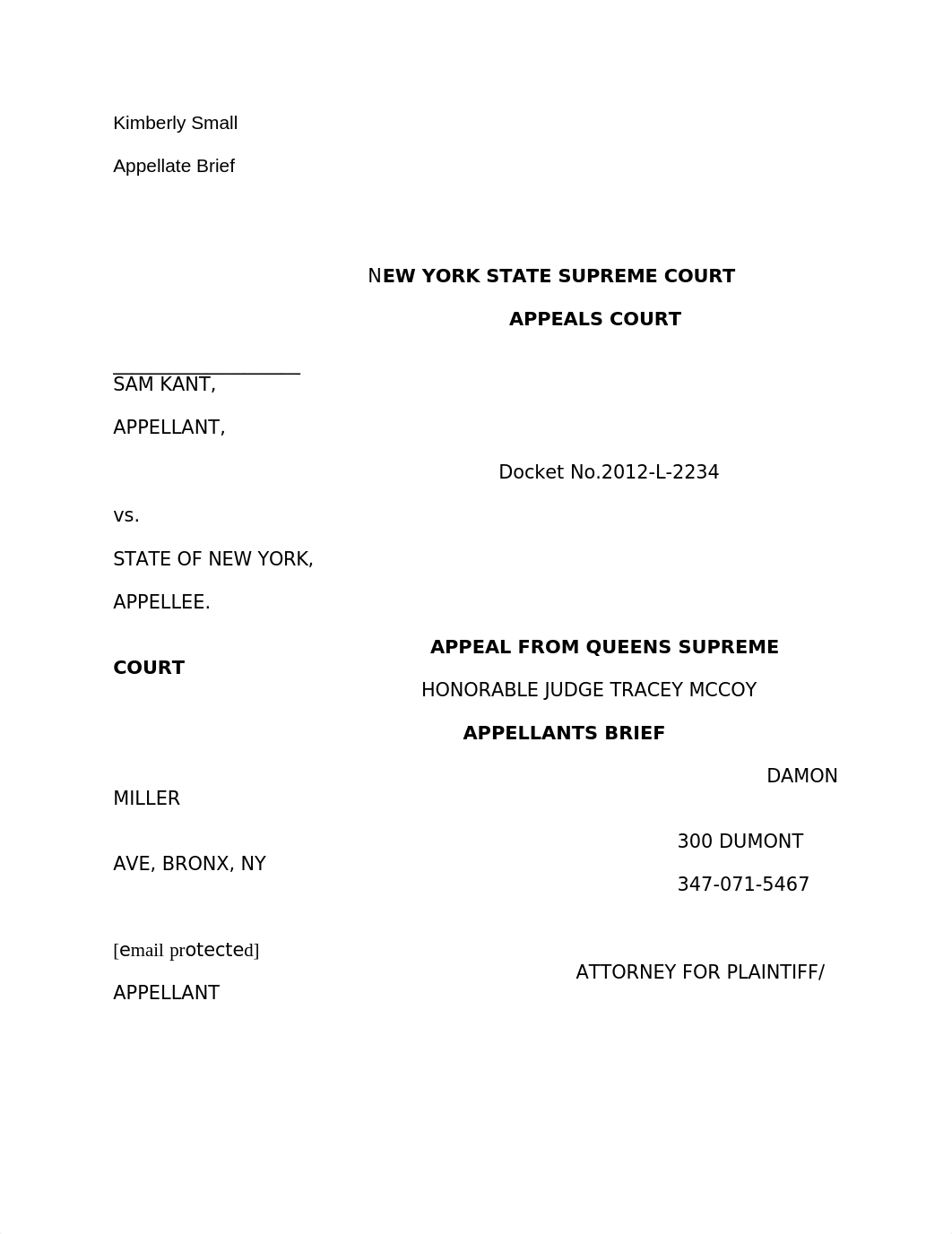 Appellate Brief Para 2.rtf_d3m3kcopvol_page1