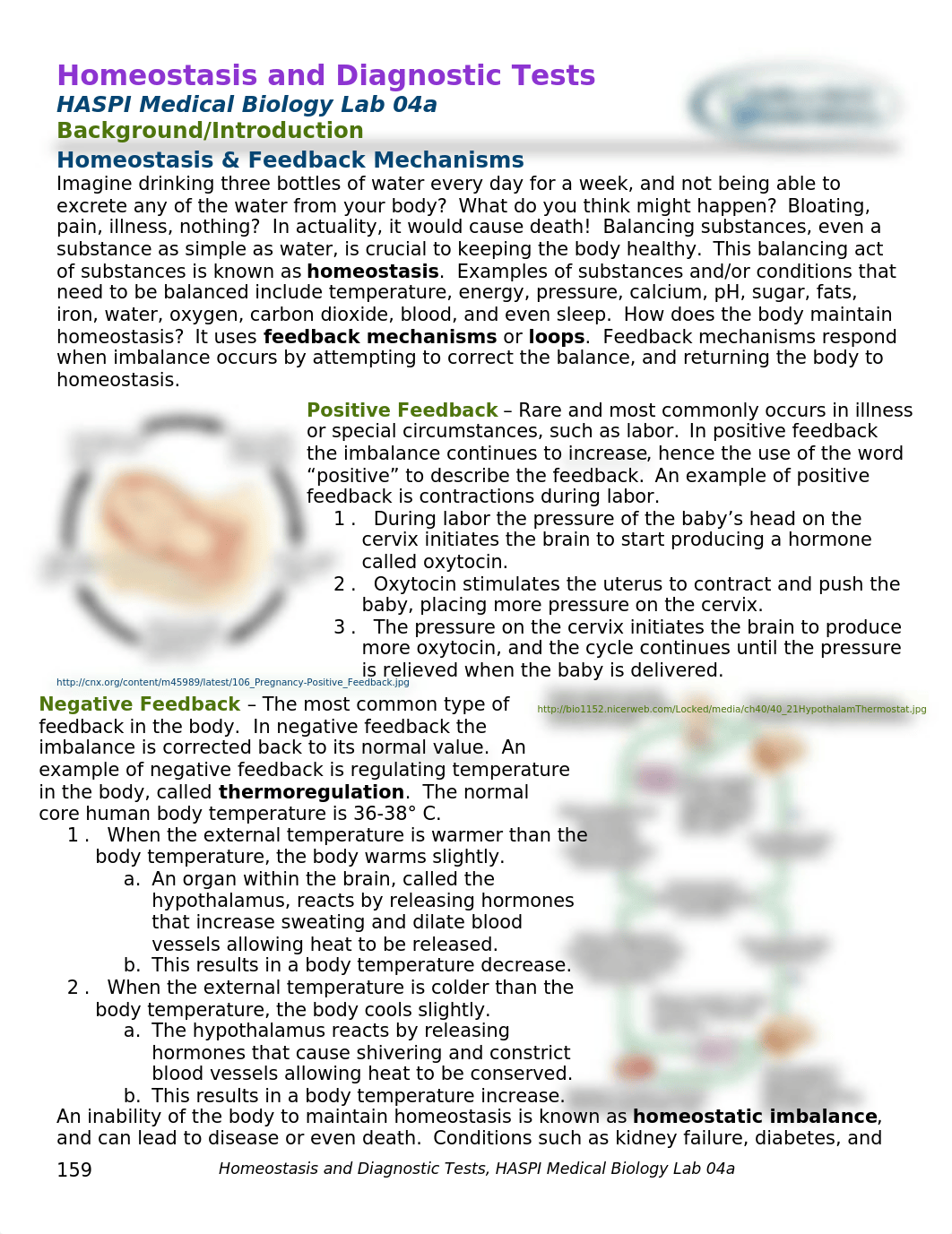 Homeostasis_DiagnosticTests_Urinalysis.docx_d3m8v0qnah5_page1