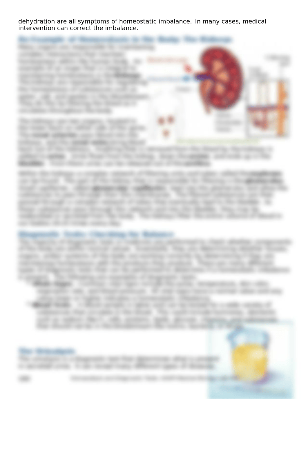 Homeostasis_DiagnosticTests_Urinalysis.docx_d3m8v0qnah5_page2