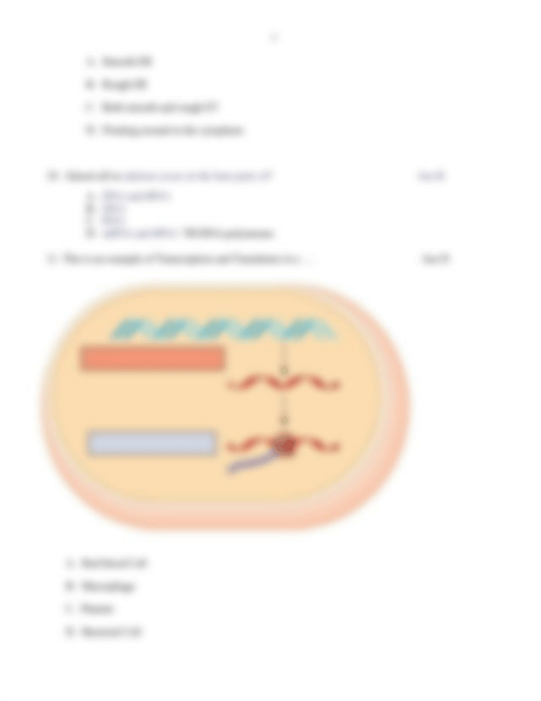 Exam #2genetics  spring 2021 Answers .docx_d3mfzkhhlup_page3