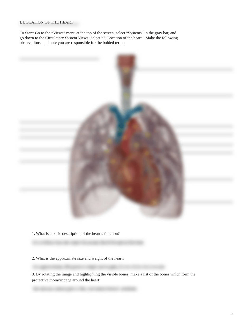 Heart Lab.pdf_d3mh3rvj53h_page3