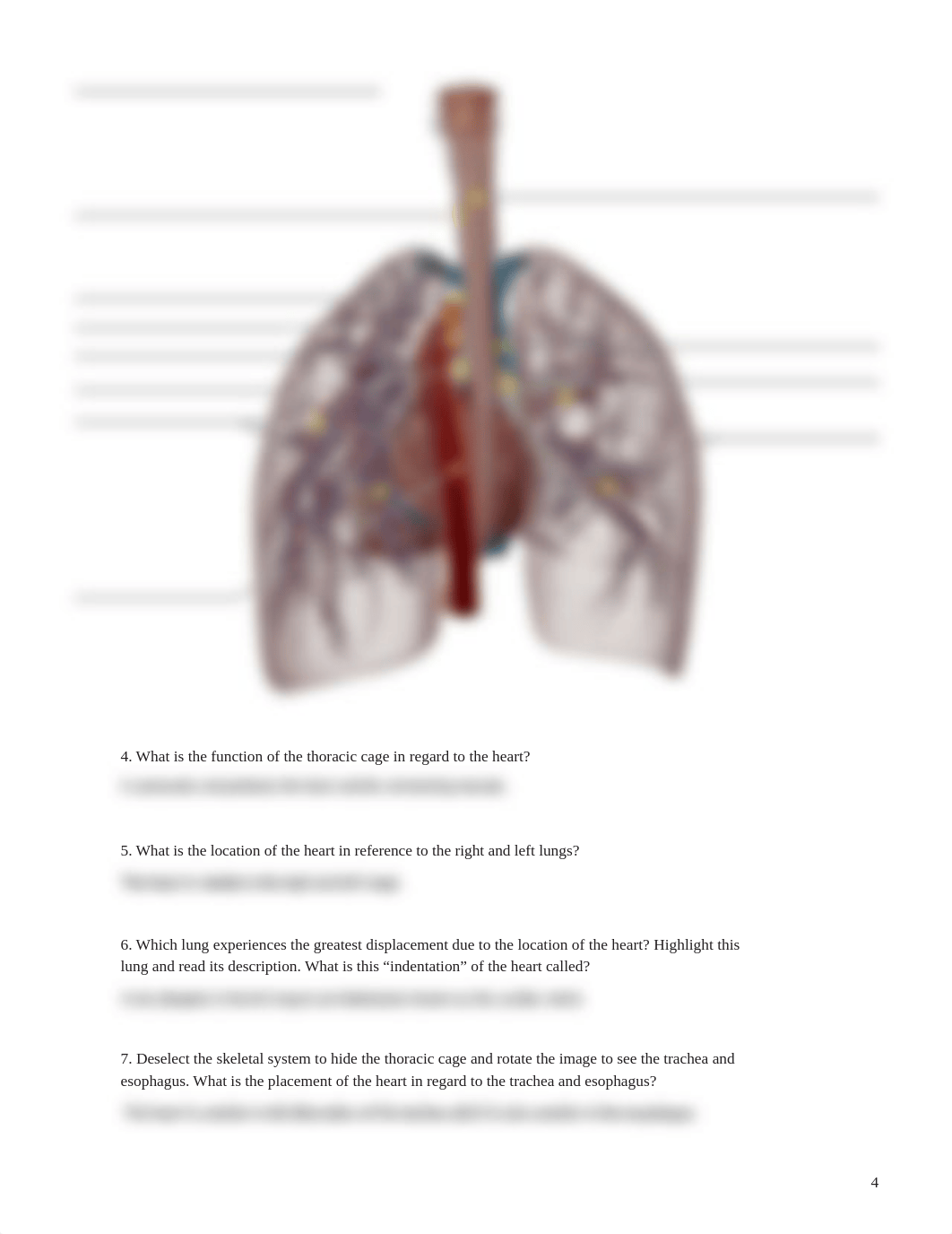 Heart Lab.pdf_d3mh3rvj53h_page4