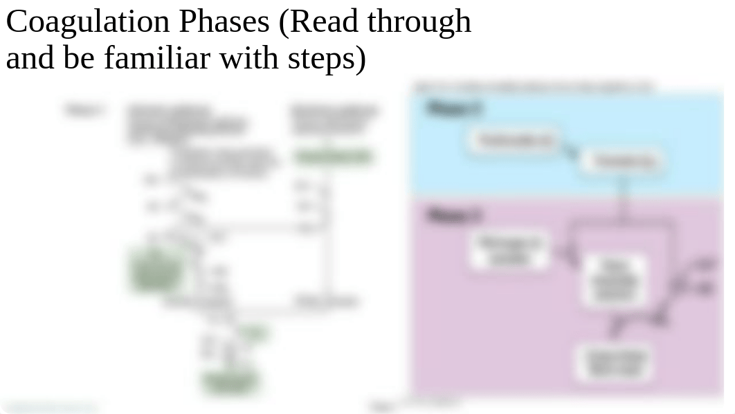 A&P II Exam 3 Review.pptx_d3mil65c5wo_page5