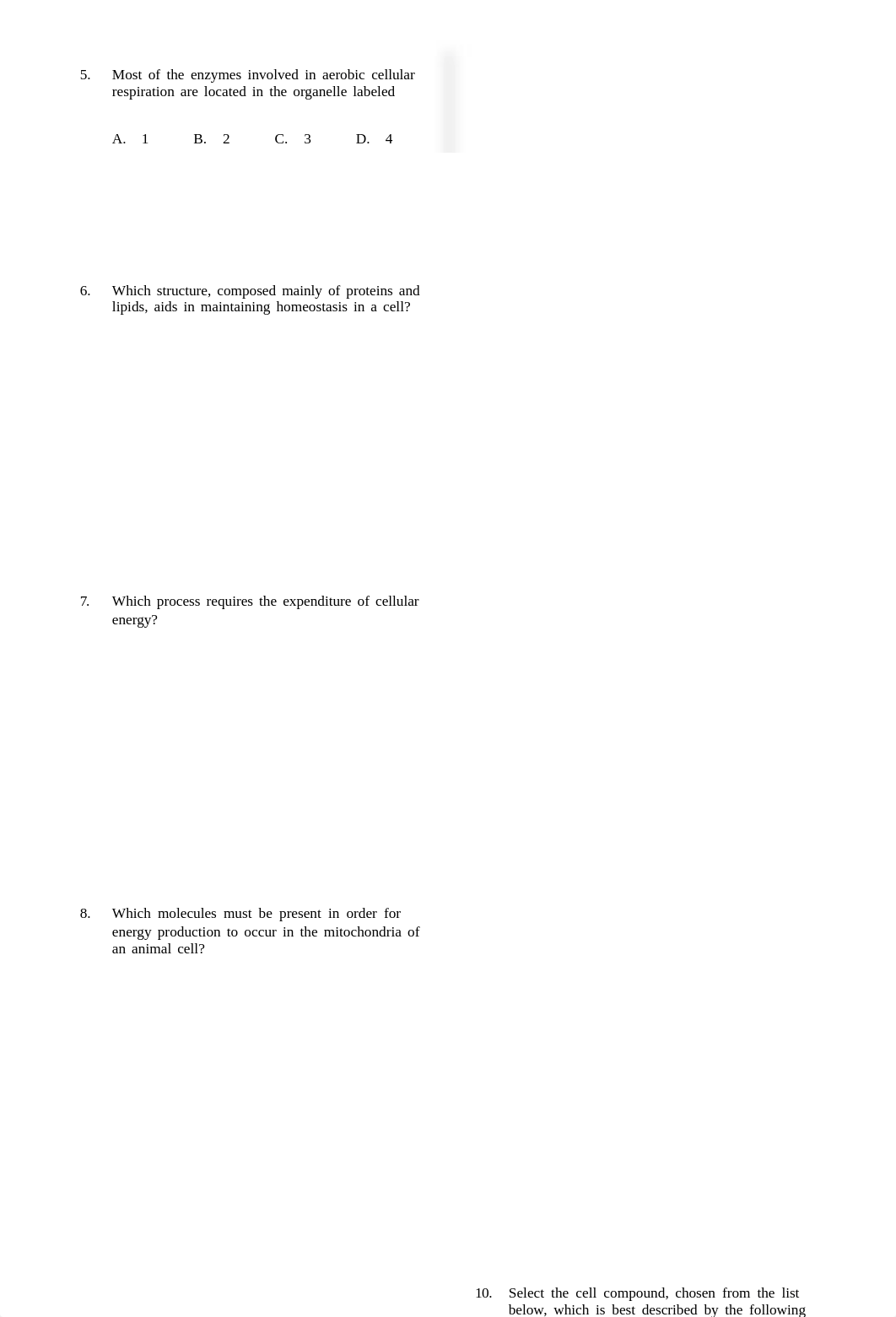 bio_test__3.pdf_d3mjscahuef_page2