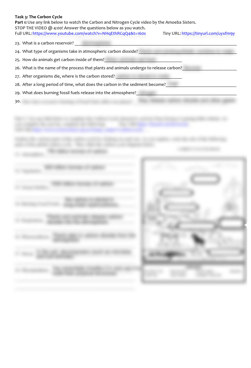 Biogeochemical Cycles Webquest Handout.pdf_d3nc7ksxi54_page2