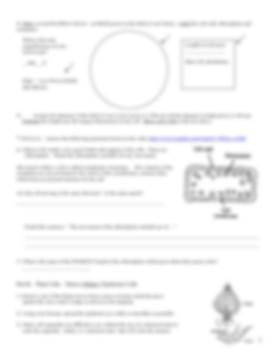 Lab Characteristics of Plant and Animal Cells for absent students 1415.doc_d3ndguuhbkj_page2