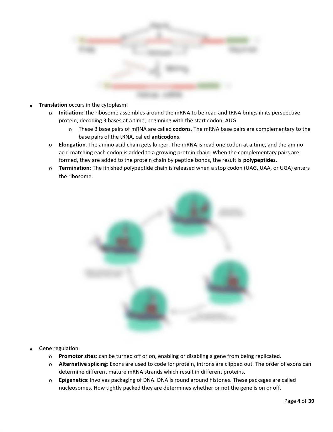 Yvonne's Comprehensive Study Guide final.pdf_d3ngmj9bnph_page4