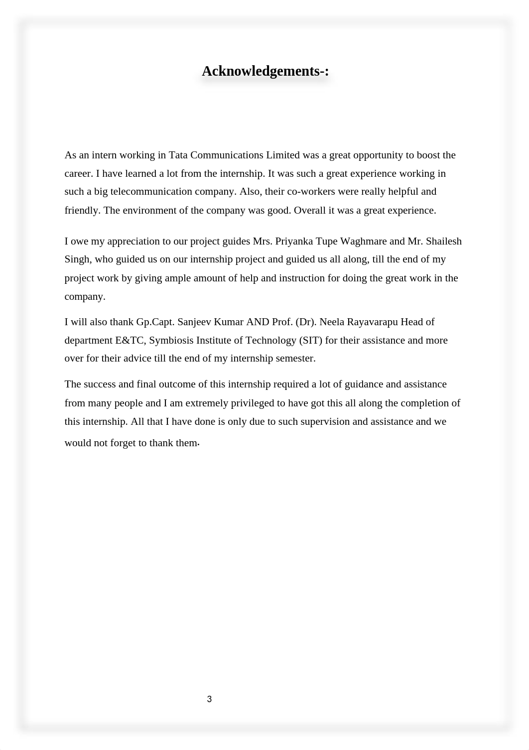 final report.docx_d3ni3v2c9g6_page3