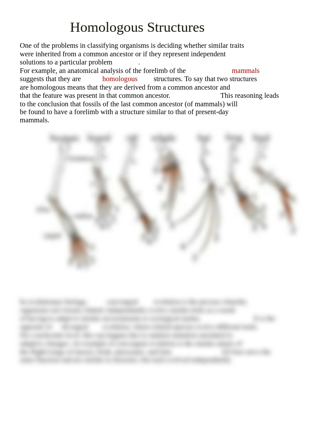 Homologous Structures Reading.doc_d3nl7ha1kyl_page1