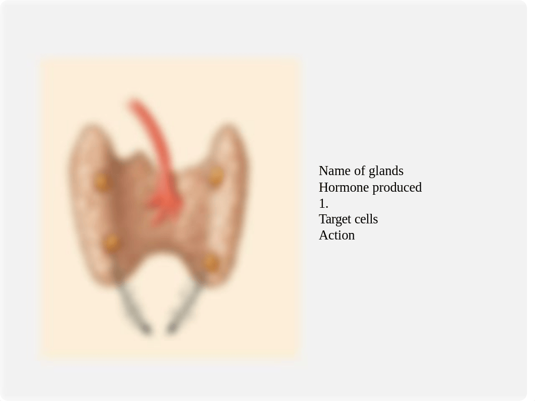 Lab Quiz Review Endocrine.pptx_d3npit5h9aa_page3