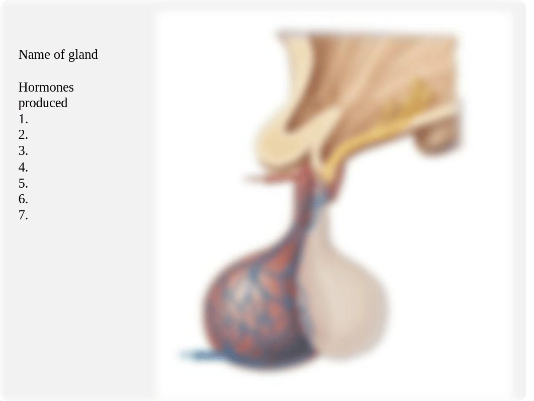 Lab Quiz Review Endocrine.pptx_d3npit5h9aa_page2