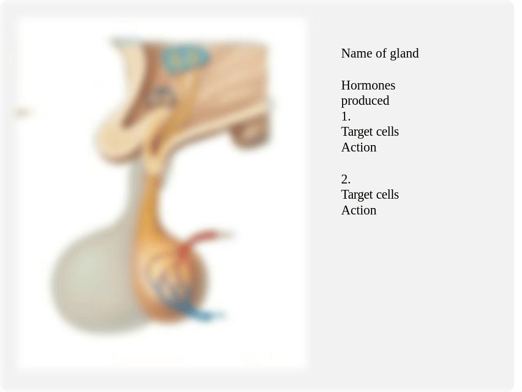 Lab Quiz Review Endocrine.pptx_d3npit5h9aa_page1