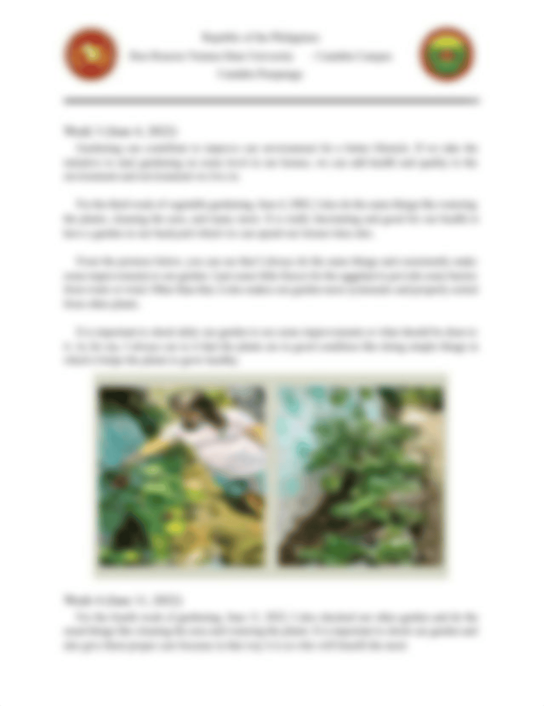 AGAWA-MICA-L.-(URBAN GARDENING NARRATIVE REPORT).pdf_d3nsq348yk9_page2