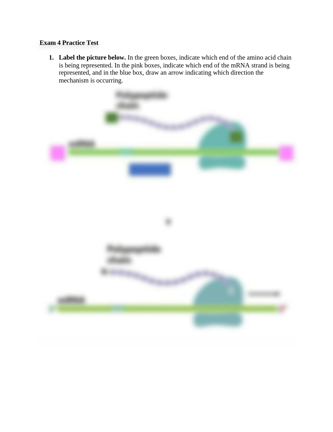 Exam 4 Practice Test.docx_d3o3fvsm2xe_page1