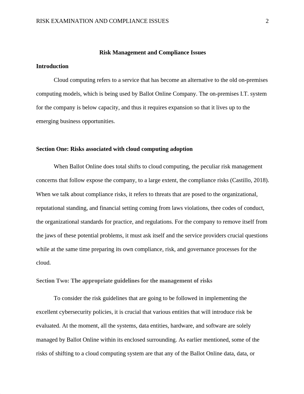 Risk Examination and Compliance Issues.edited (1).docx_d3o89rw4gfn_page2