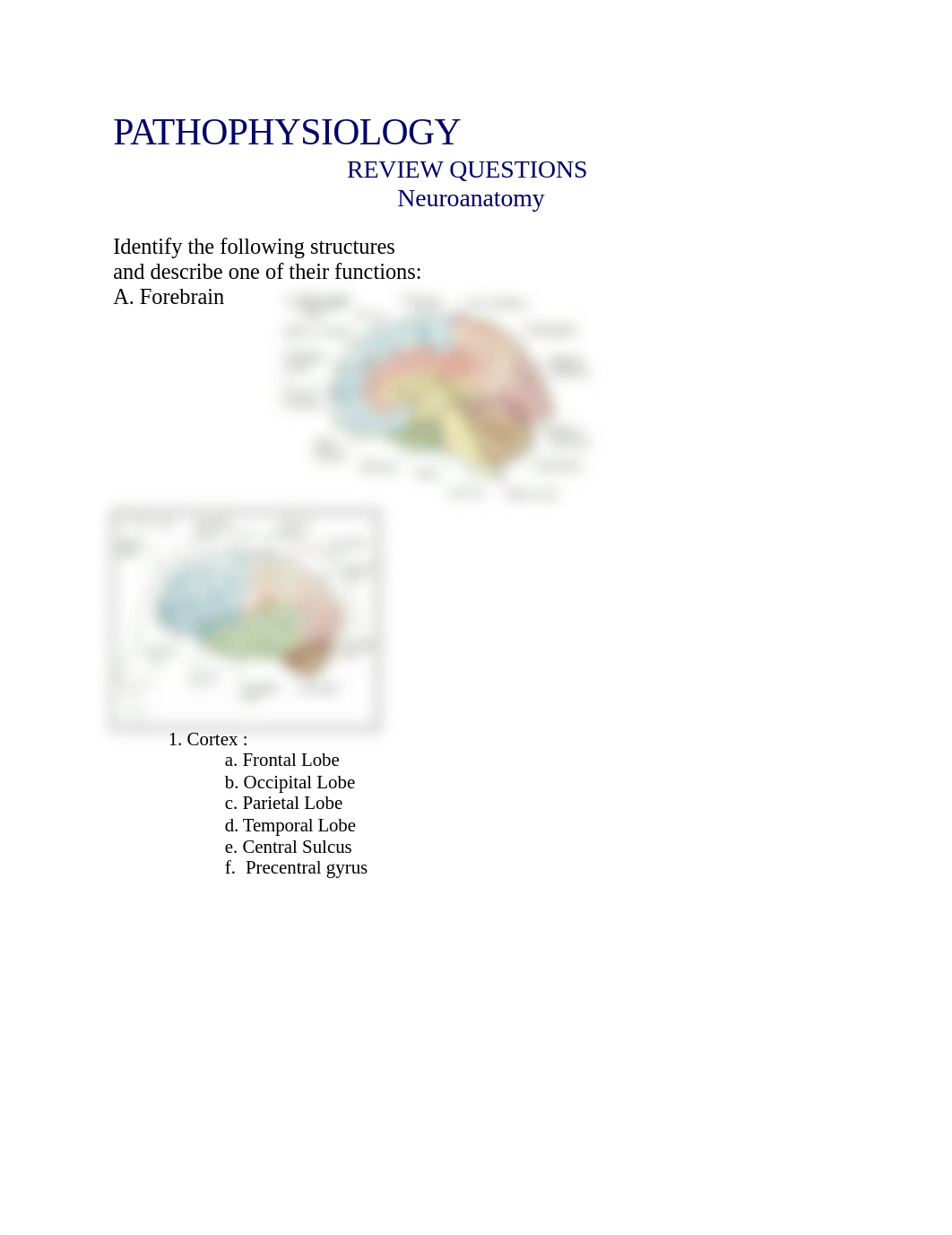 Exam 4 SOQ.docx_d3oahir71xn_page1