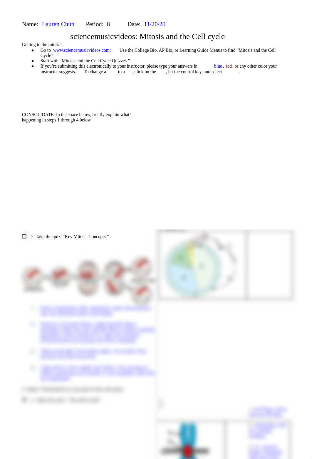 cell cycle ws.pdf_d3oe36dnb5e_page1