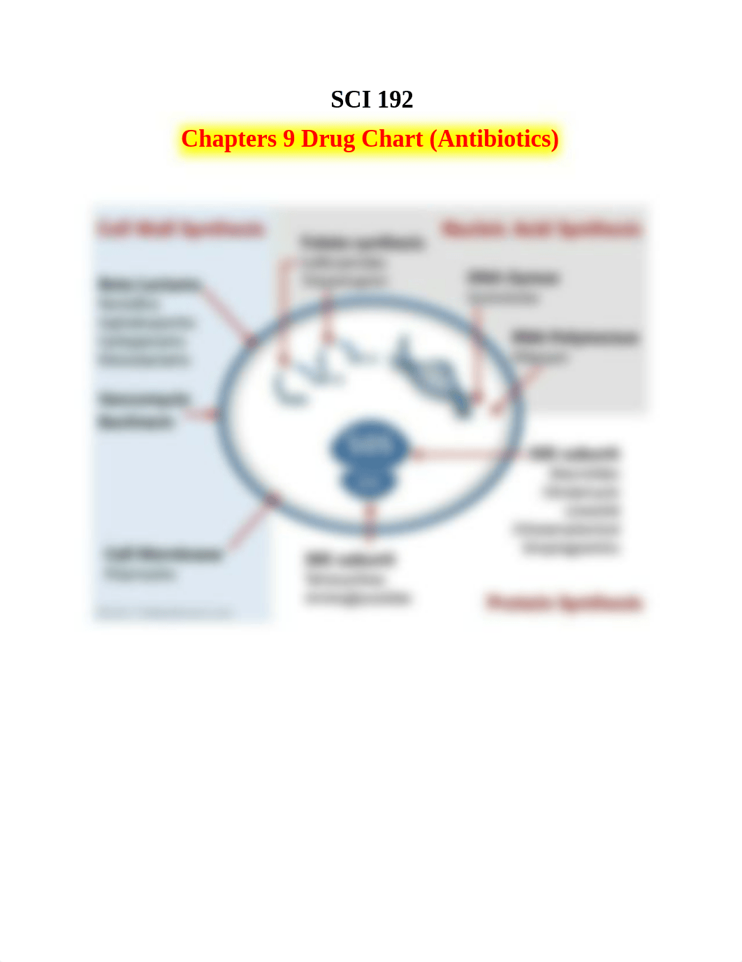 Chapter 9 (Antibiotics) Drugs Chart(4).docx_d3ofa80eabs_page1