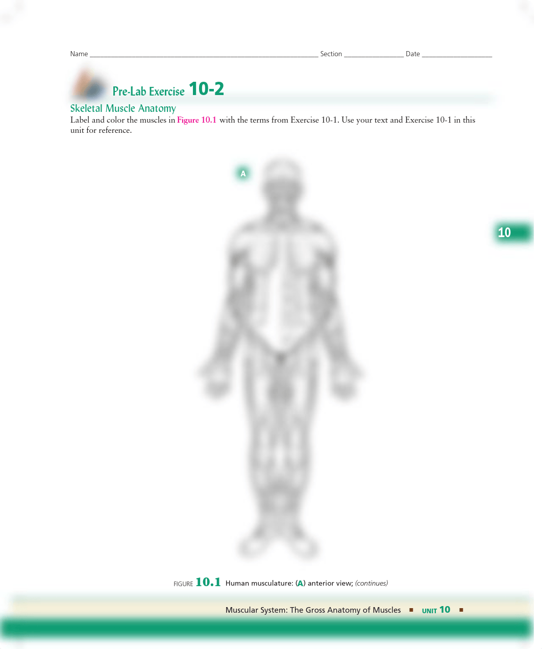 Unit 10 Pre-Lab Exercise 10-2.pdf_d3ohsznskav_page1