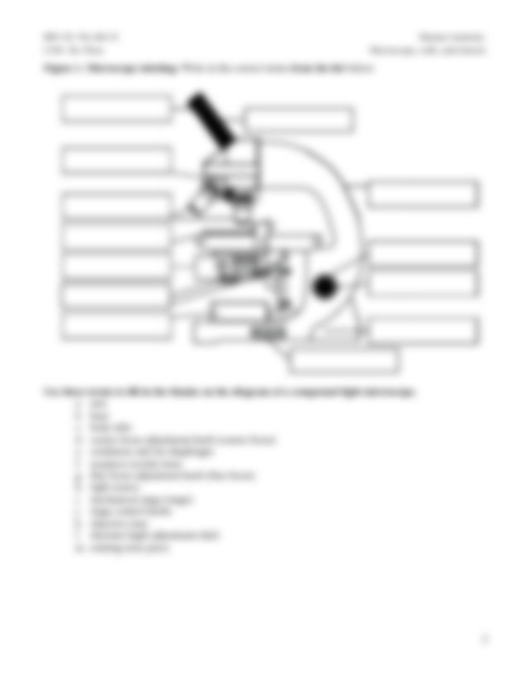 #2 Scope, cells, cell cycle Pre-lab F18.pdf_d3ojdtimbhl_page2