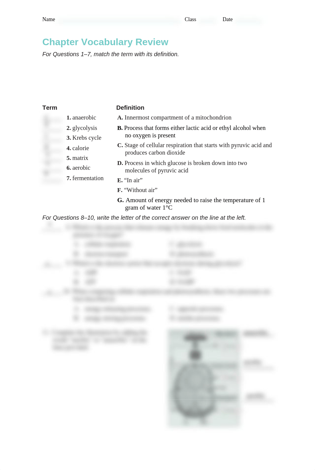 D0794905_BIO_C09_Vocabulary_Chapter_Mystery_Workbook_A.pdf_d3olph715rn_page2