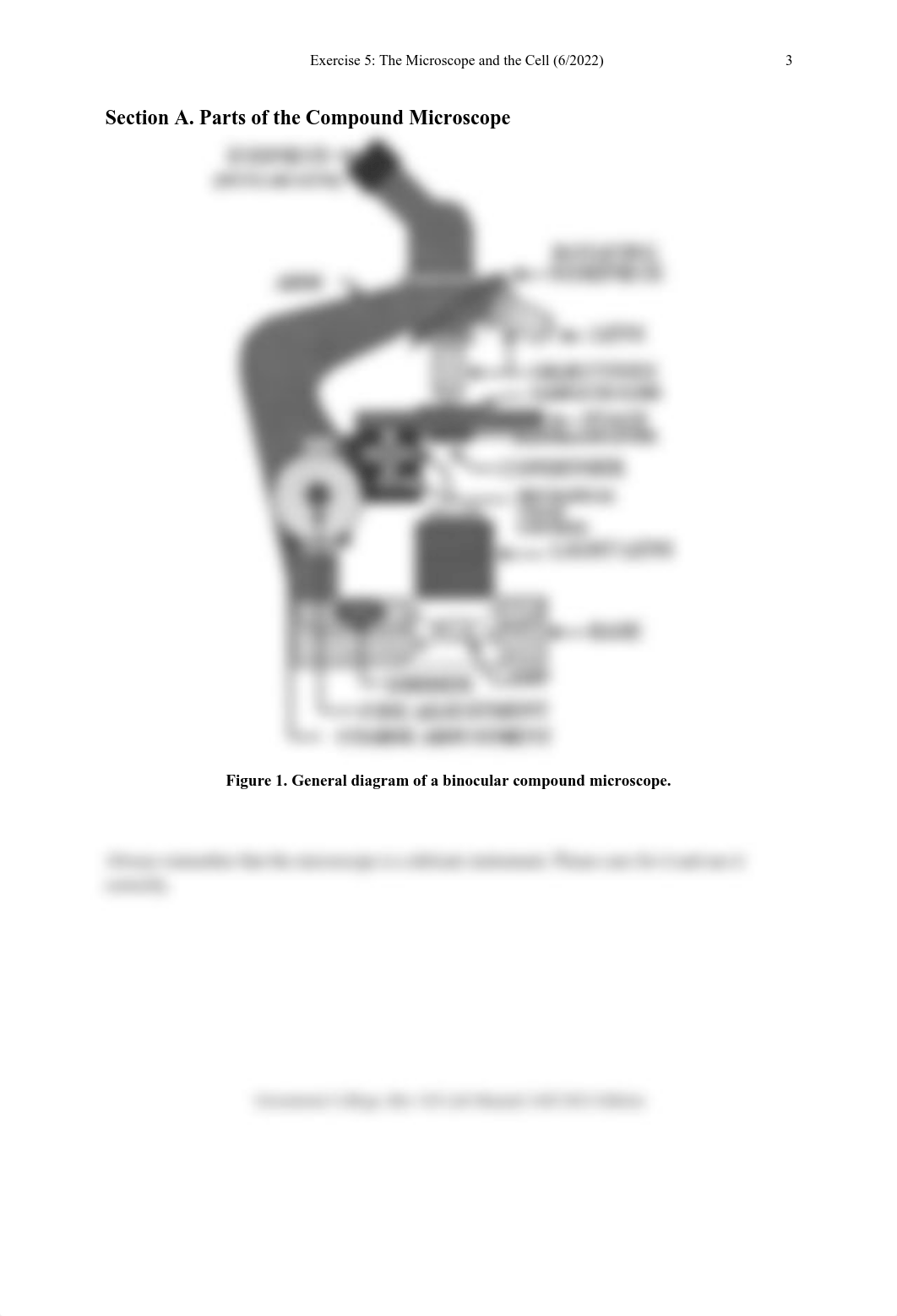 Copy of BIO120_LabEx05 The Microscope and Cell.pdf_d3oq25oh9ed_page3