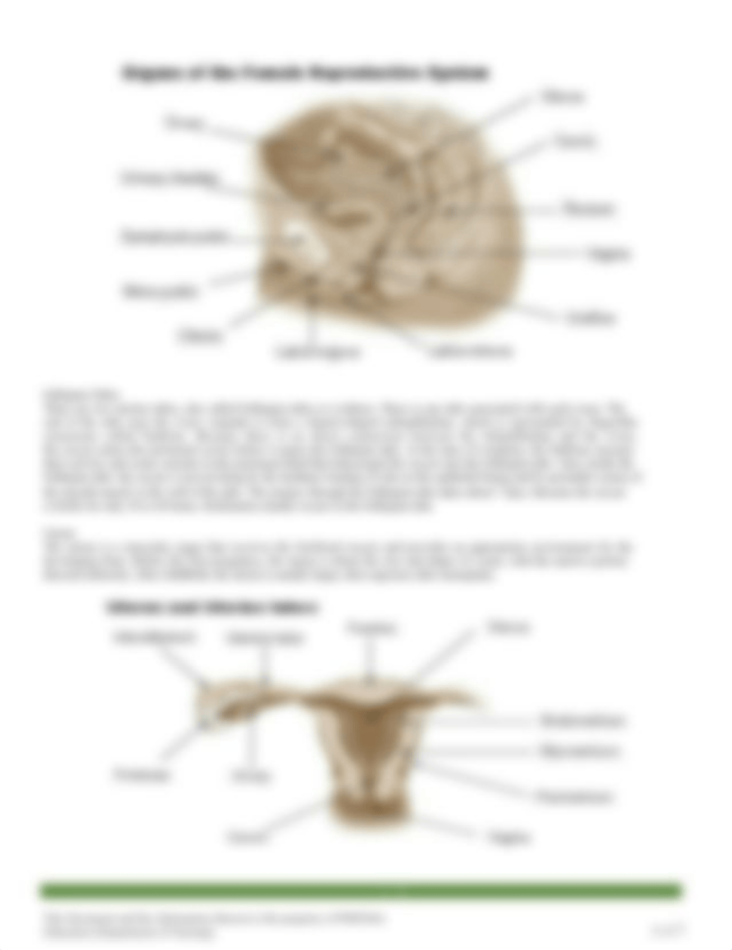 Session_45_SAS_-_AnaPhy_(Lab).docx_d3ossuhcj0k_page2