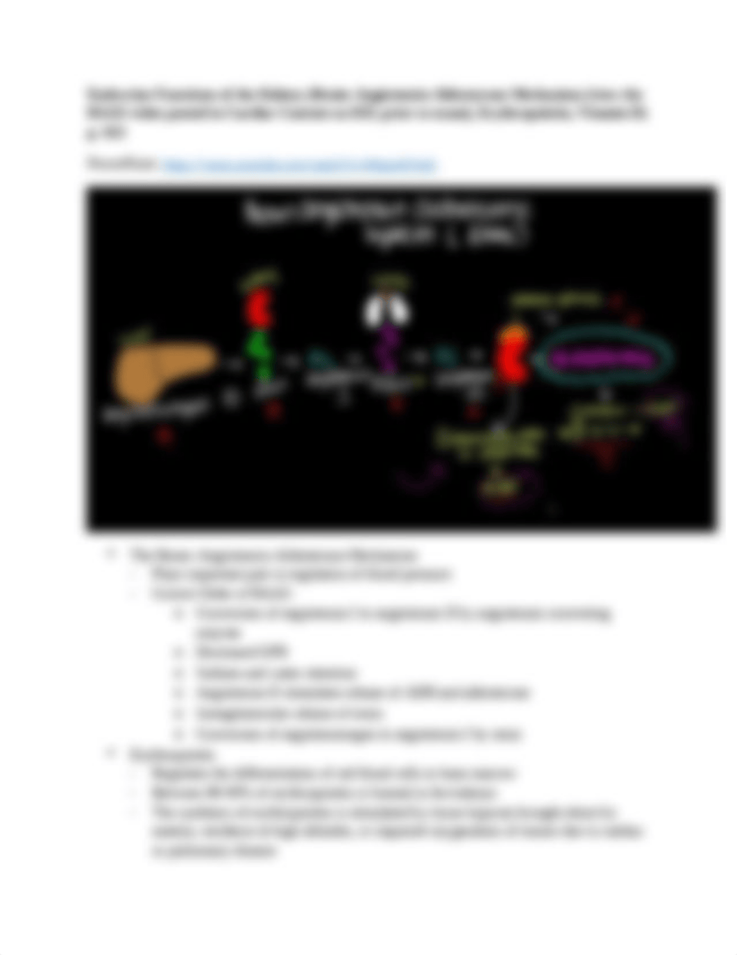 Patho Final Exam Blueprint.docx_d3osy5iol1e_page3