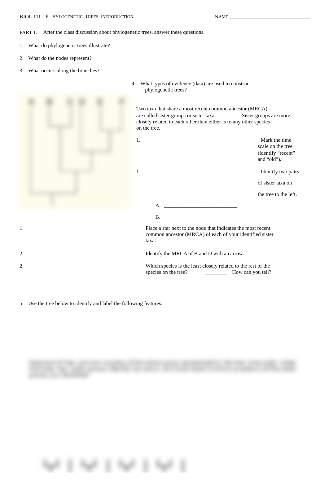 CM#14 phylogenetic trees short(1).docx_d3ozp7x0h0j_page1