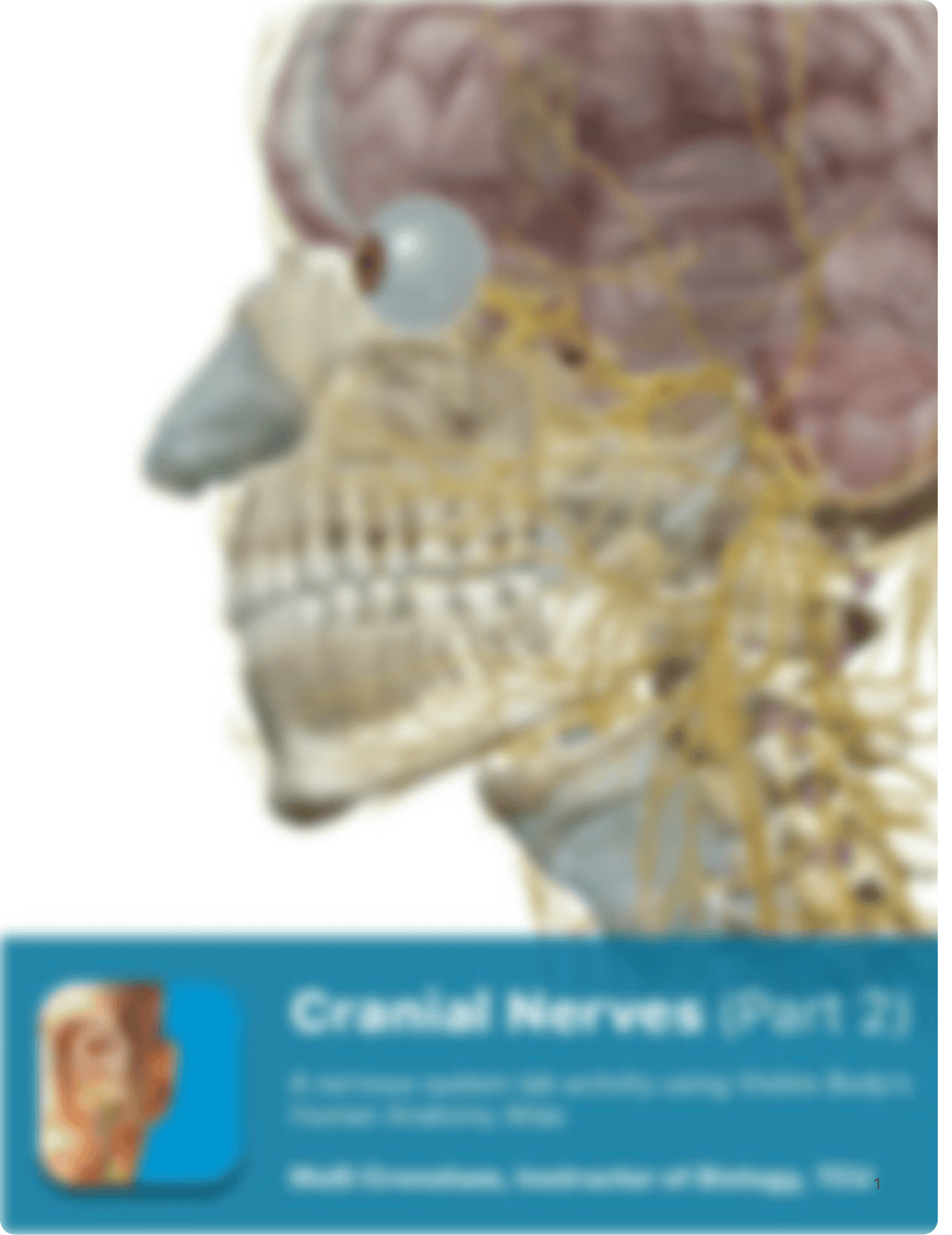 lab manual_cranial nerves_atlas_part_2 copy BIo 200-L23.pdf_d3p3w5ir6oh_page1